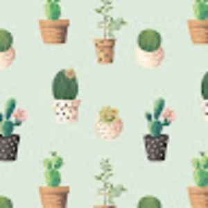 Meet your Posher, Abbey